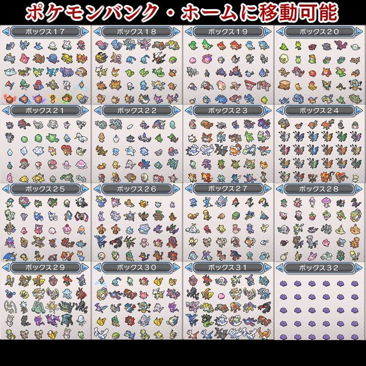 ポケットモンスター　ウルトラムーン　【ウルトラサンムーン】ポケモン　3DS　13