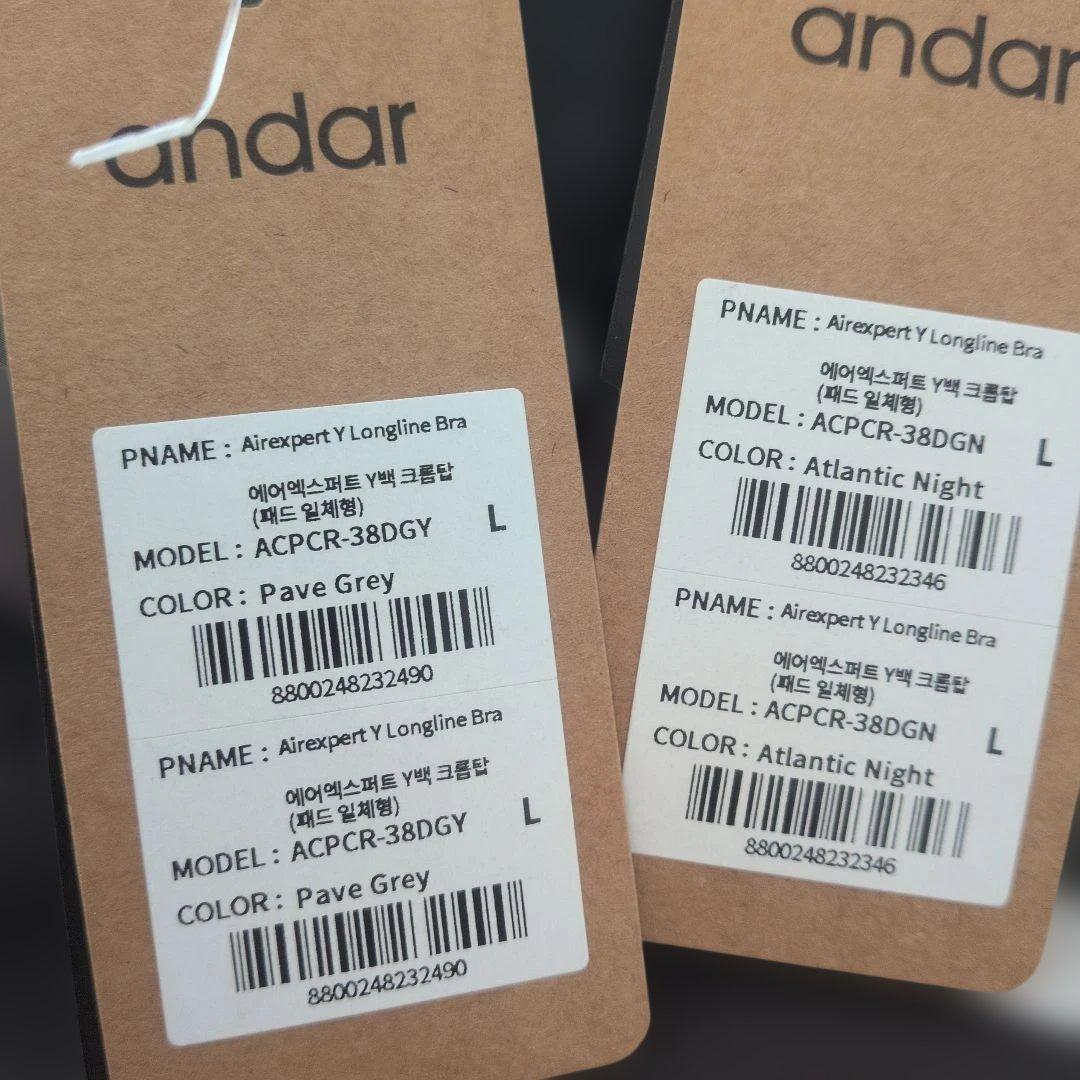 Airexpert Yバック クロップド スポーツブラ (パッド縫い付け)