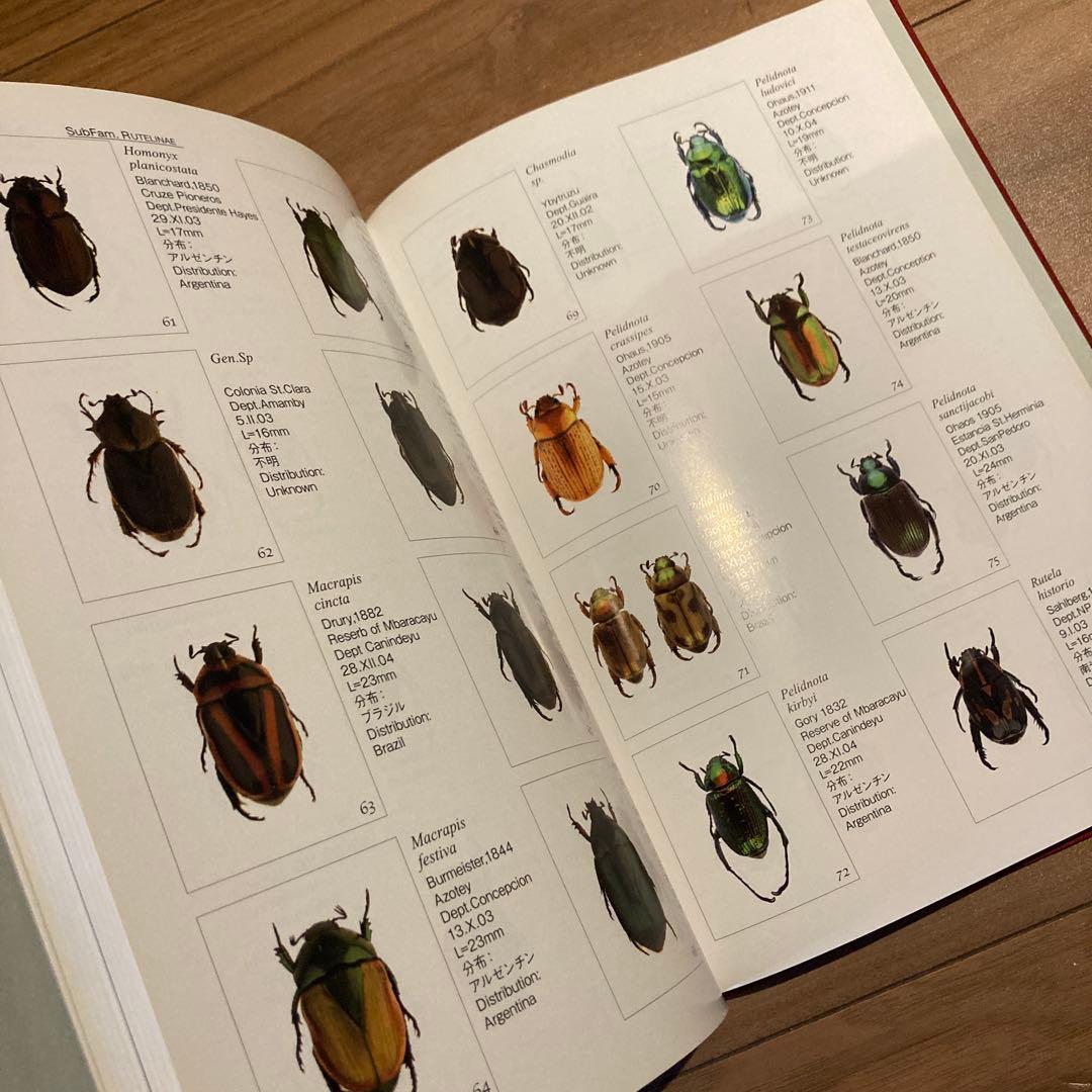 野生ラン 写真集「艶蘭亭 ADELANTE - パラグアイの野生蘭と甲虫」小山貢