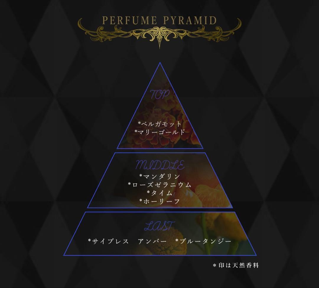 ジョジョの奇妙な冒険 戦闘潮流 ジョナサン ディオ　 オードパルファム 香水2種