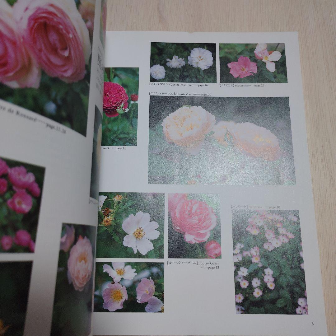 バラの名前　水彩画家橋本不二子の世界をクロスステッチに