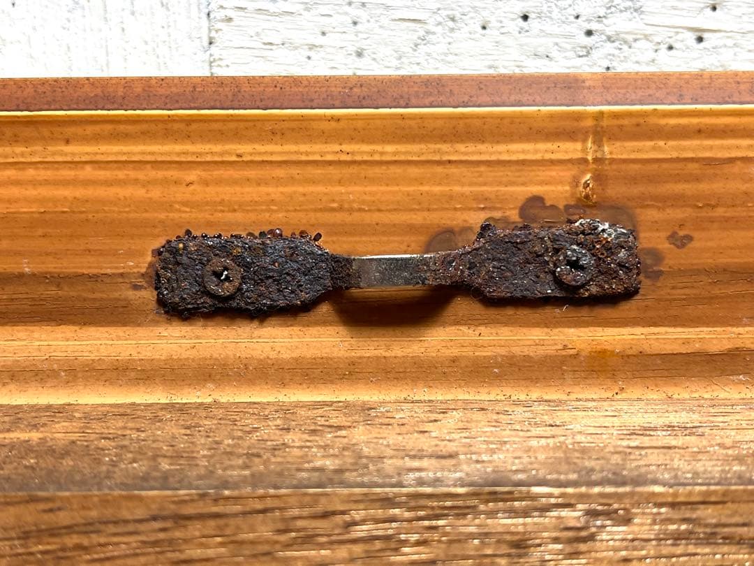 池田秀郎 油絵 油彩 肉筆 「らん(蘭)」サイン有り