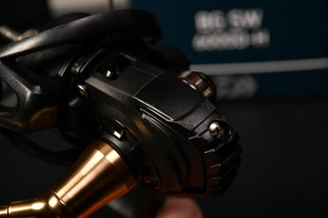 DAIWA 23 BG-SW 6000D-H 海上釣堀のみで使用