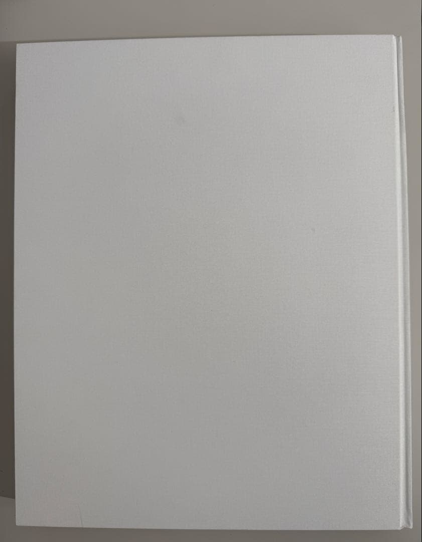 【最終値下】Designed by Apple in California(大）