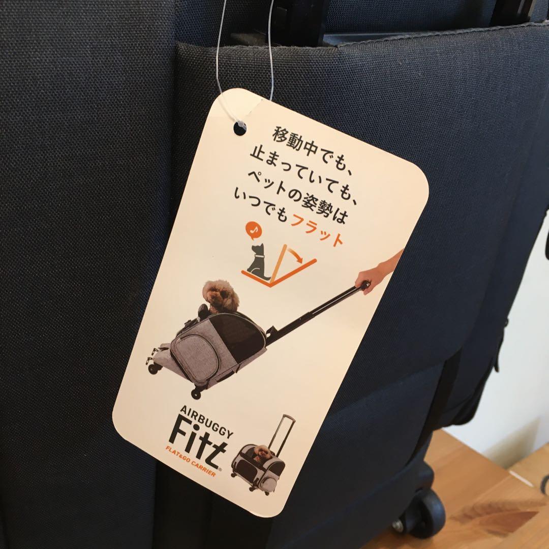 エアバギーフィット　AIRBUGGY FITT