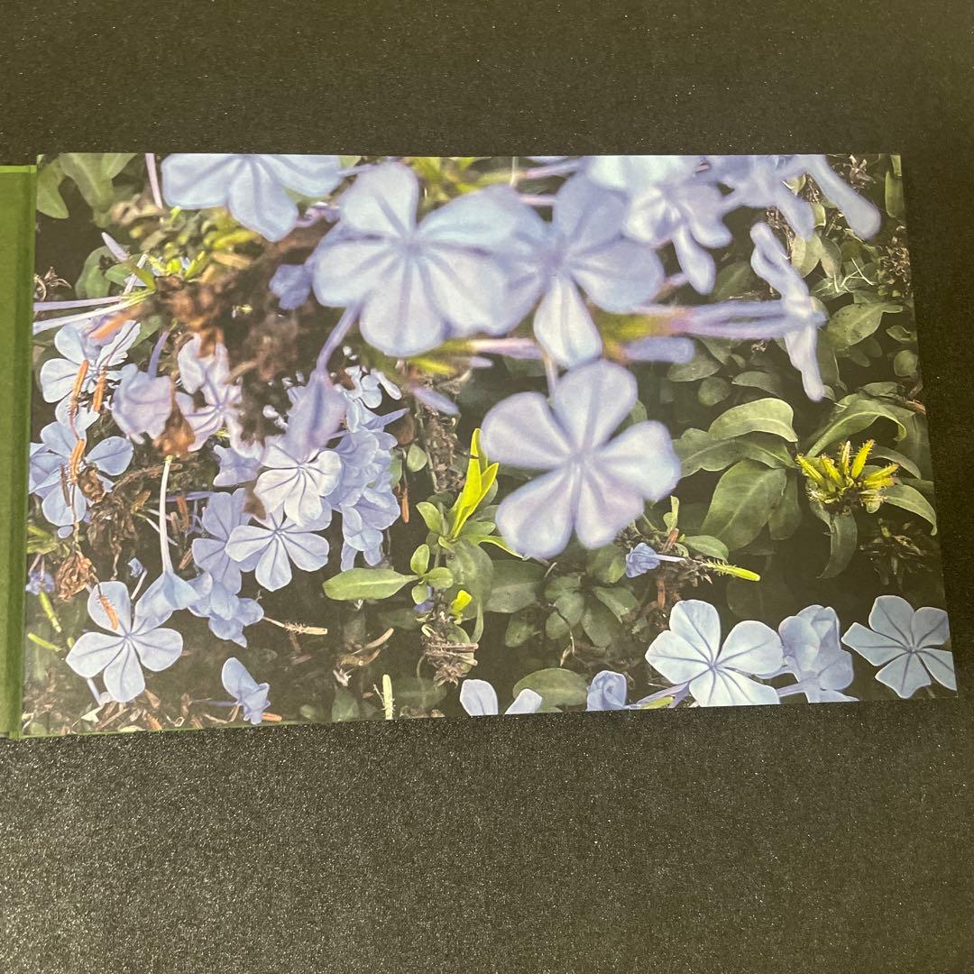 【3枚組】ショスタコーヴィチ ：交響曲第8番〜10番　キリル・ペトレンコ