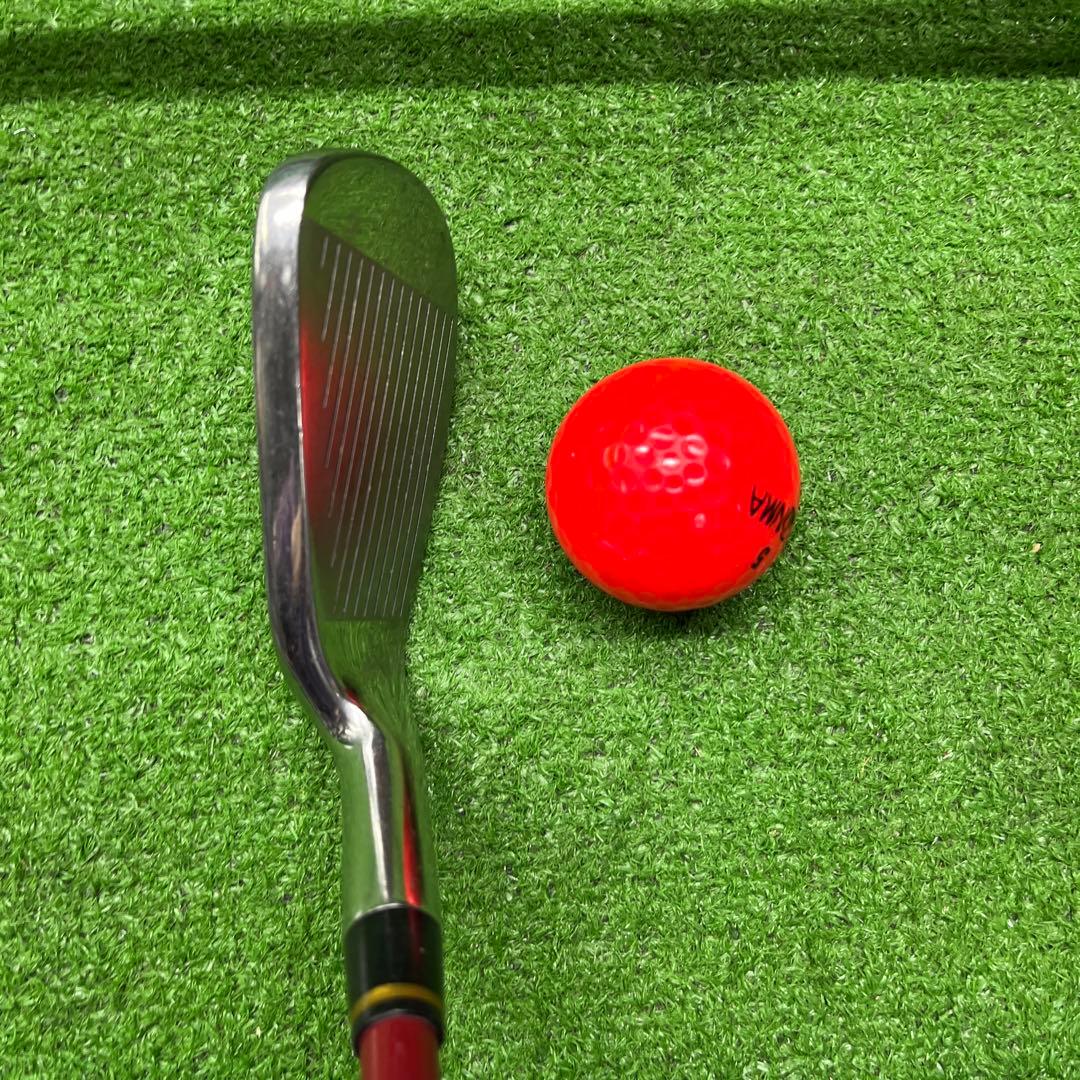 寶TIS-545 ワールドイーグル #5-8.P アイアンセット S レフティ