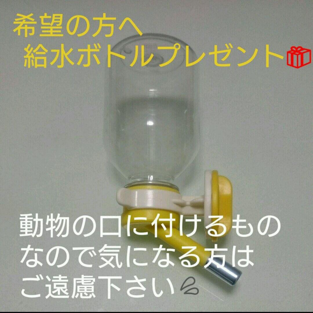 【お買得4点セット】小動物飼育用 ケージ他