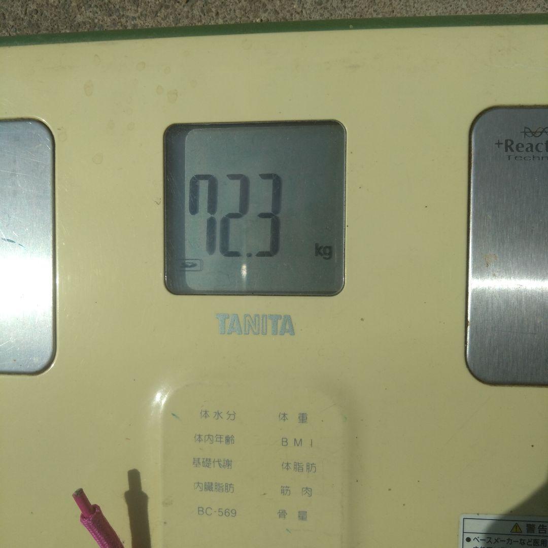 スノースクート ジックジャパン スノーモト