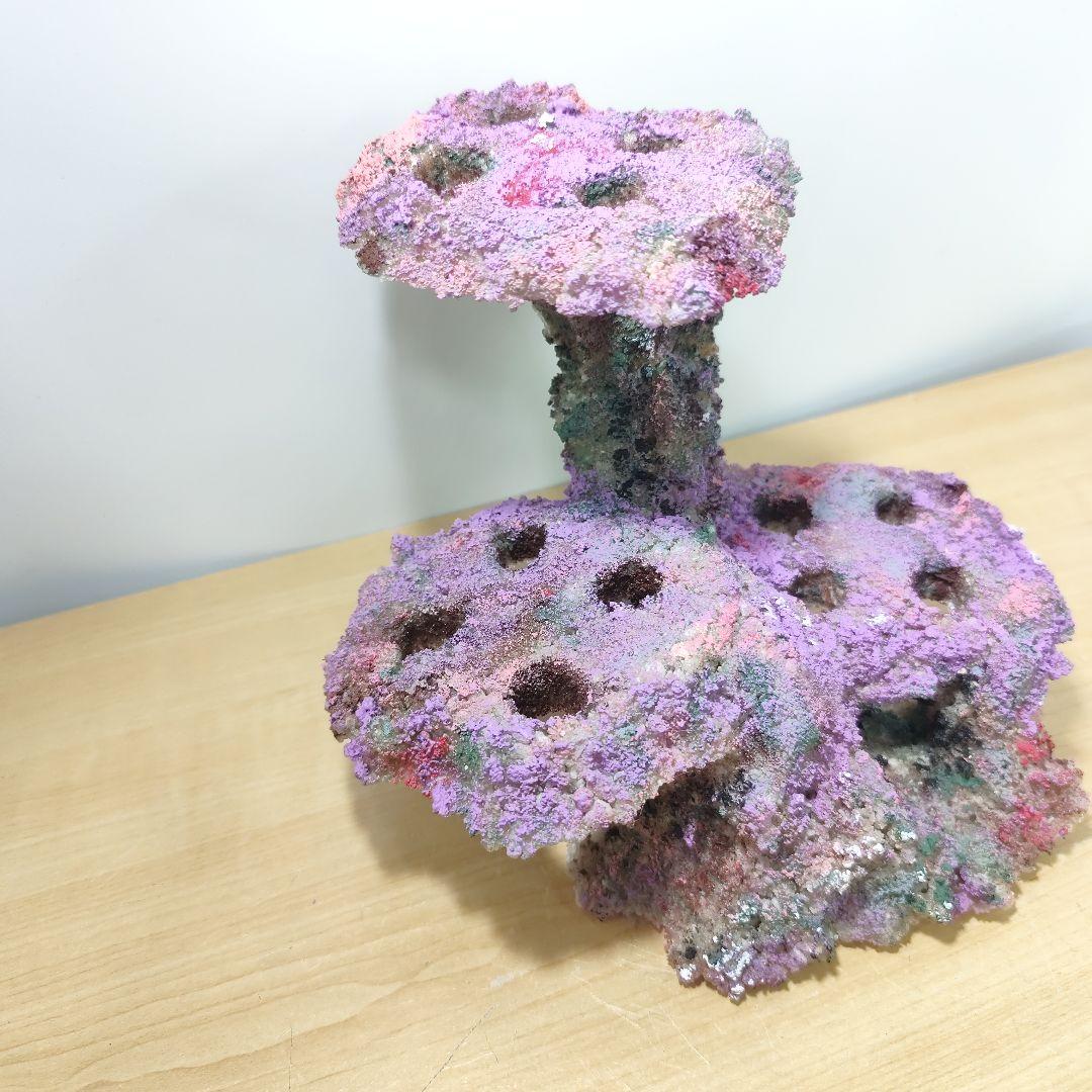 プラグ穴付き アク抜き不要人工ライブロック 海水水槽 レプリカ コーラルフラグ5