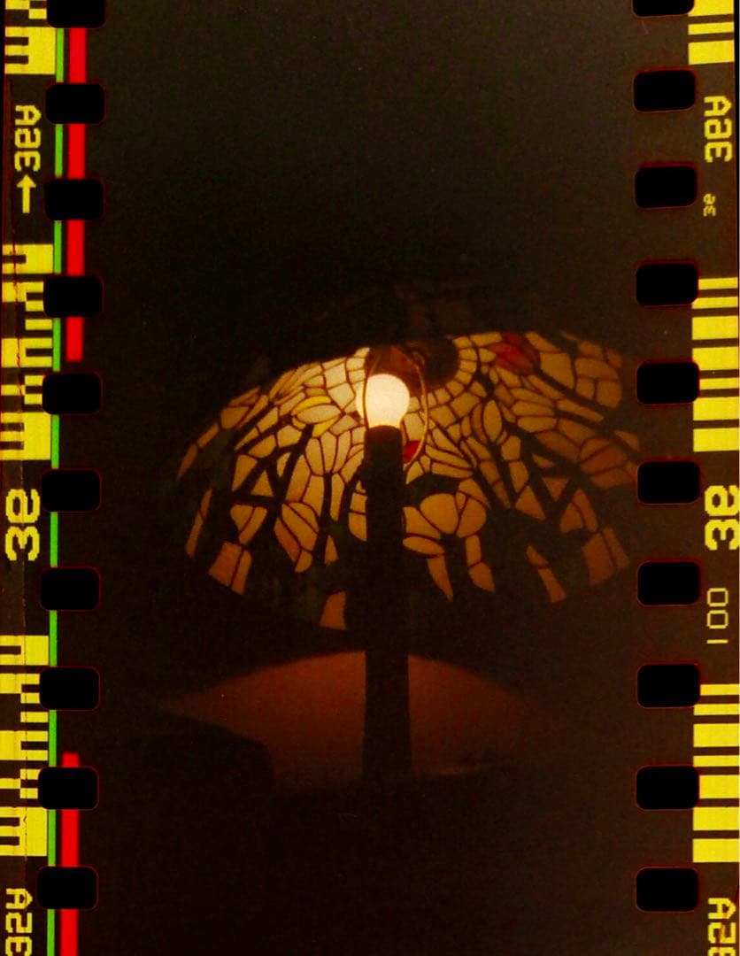 ブラックバードフライ　blackbird fly ディケイドピンク