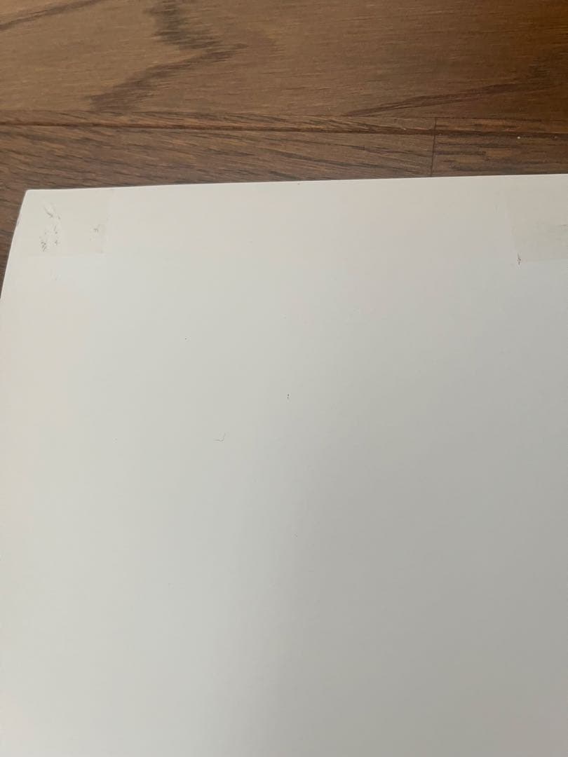 Luscious Jackson シルクスクリーンポスター TAZ kozik