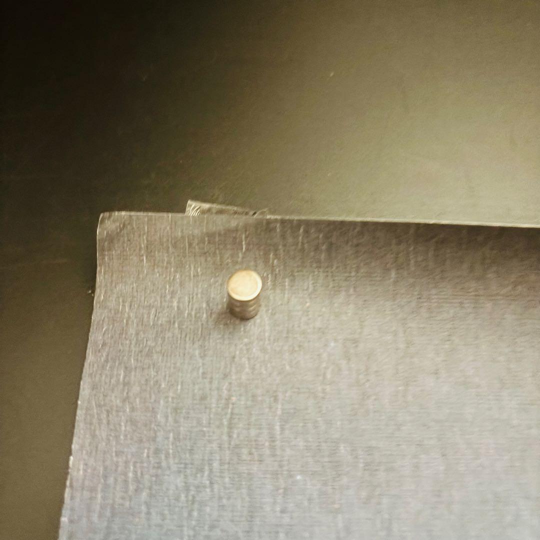 BJÖRK ビョーク bjork デビュー 告知 ポスター B3サイズ