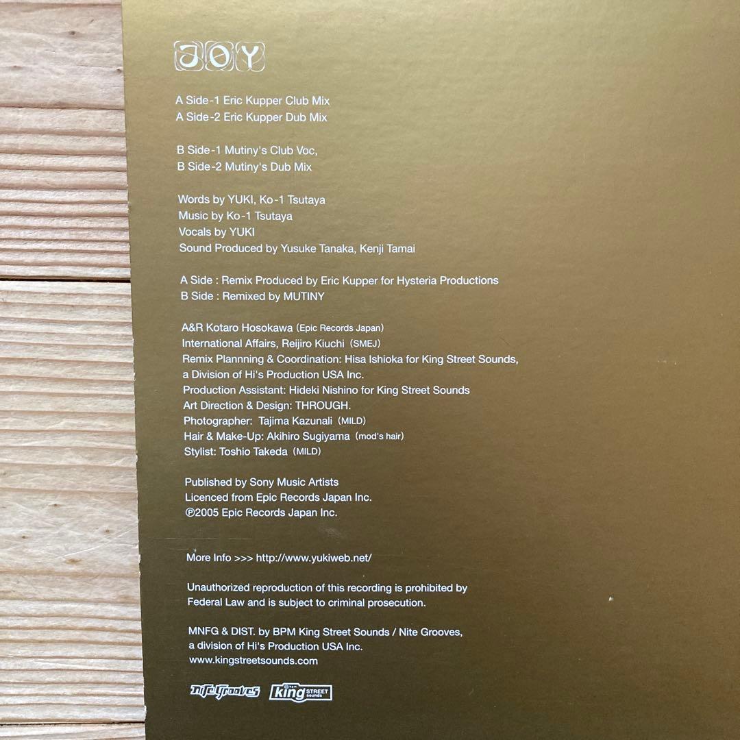 極希少 YUKI JOY Remixed Eric Kupper 12inch