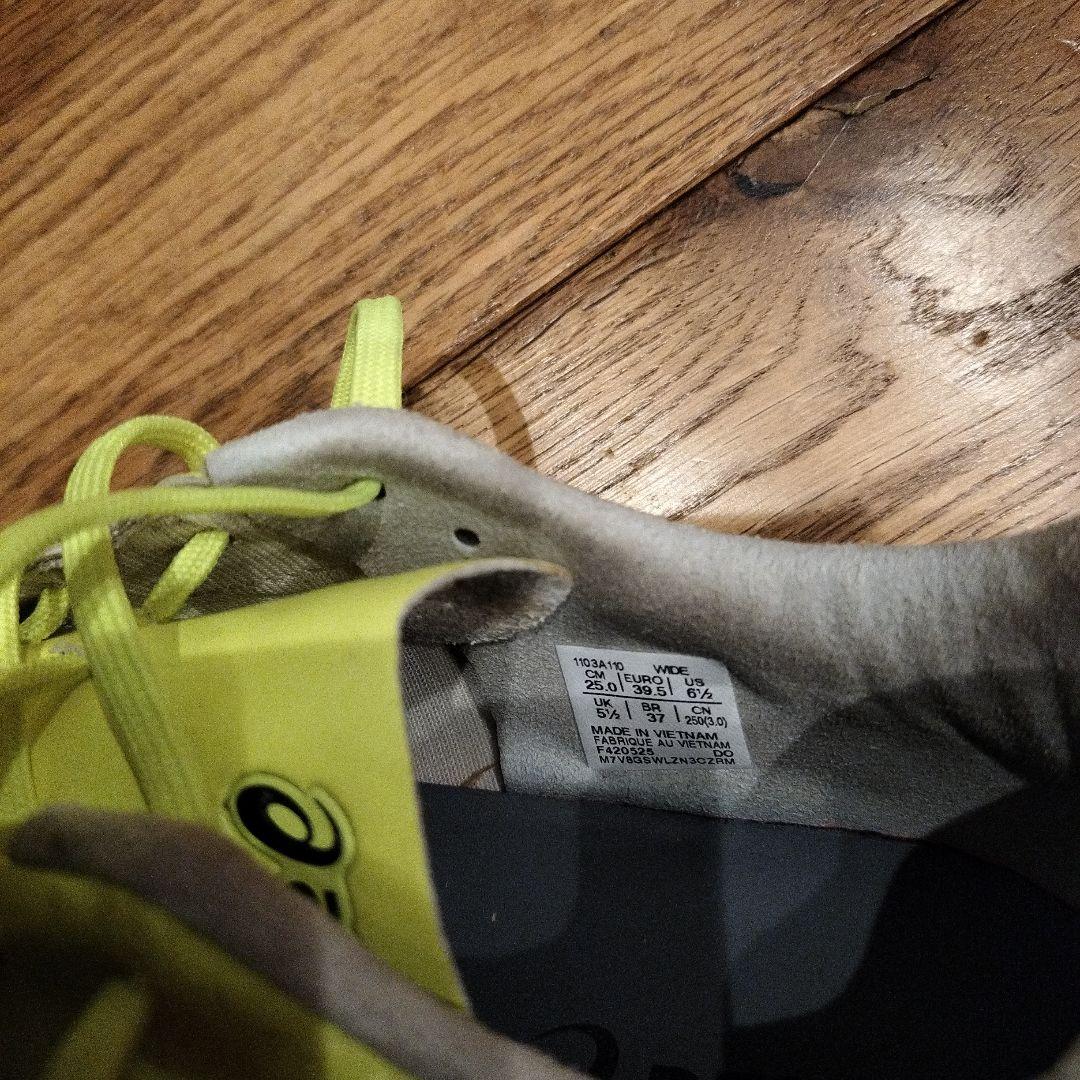 asicsユニセックス大人DS LIGHT PRO25cm、シュークリーム