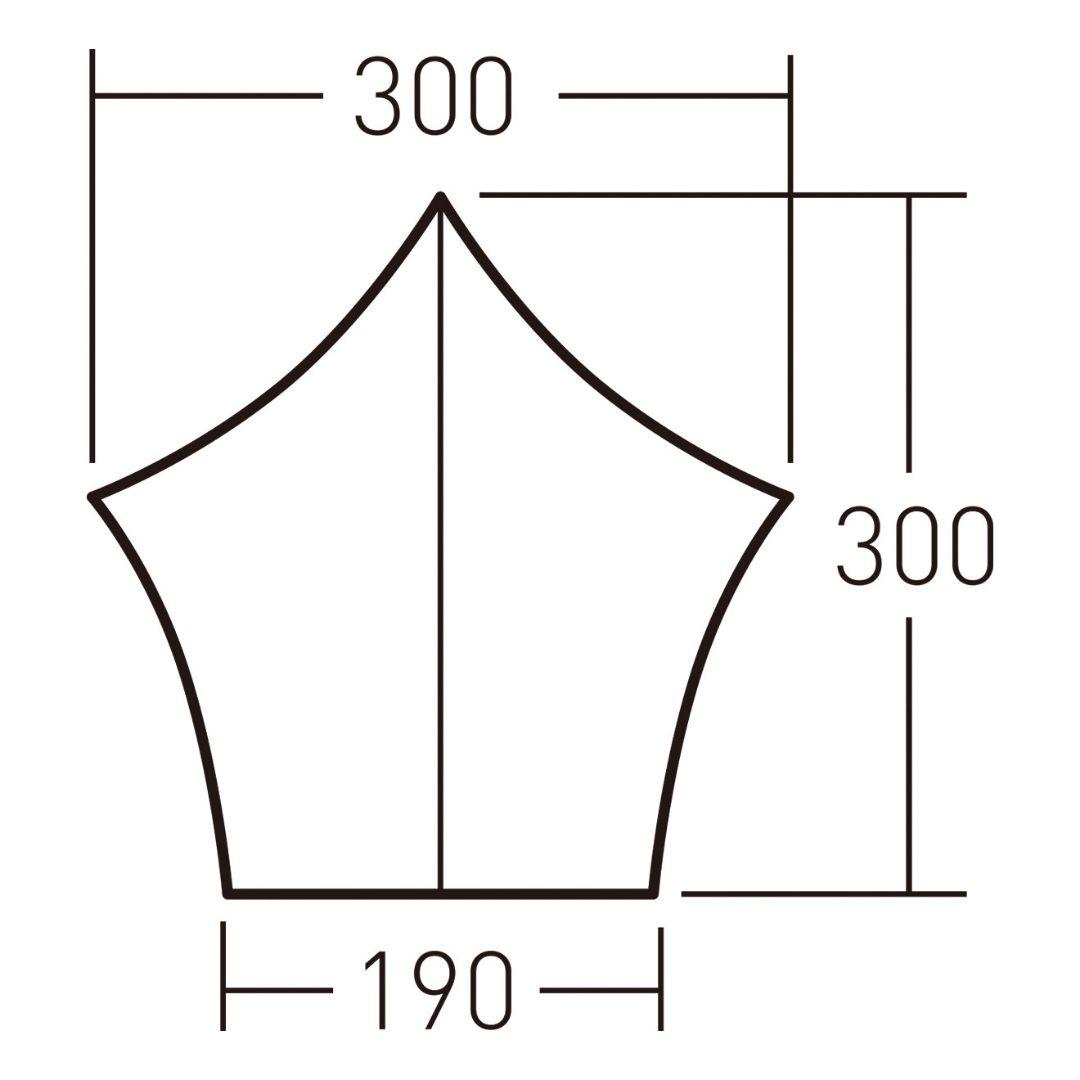Ogawa システムタープペンタ3x3