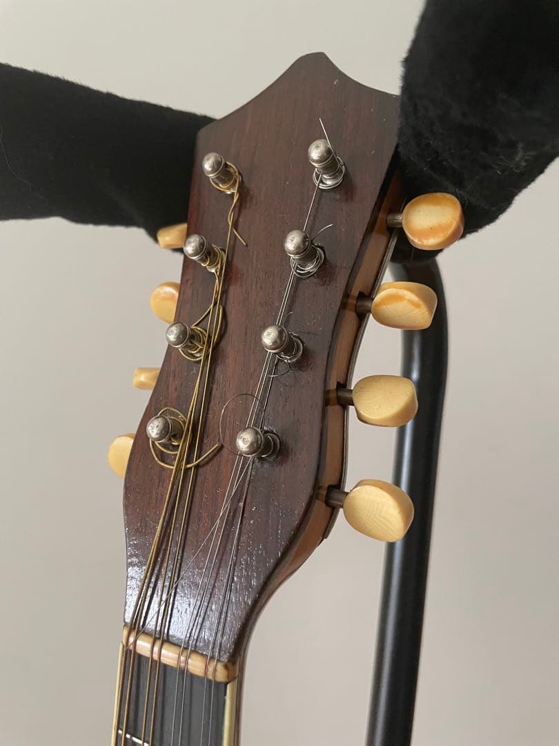 弦楽器 Ofpheum /paramount Banjo Mandolin 1920's