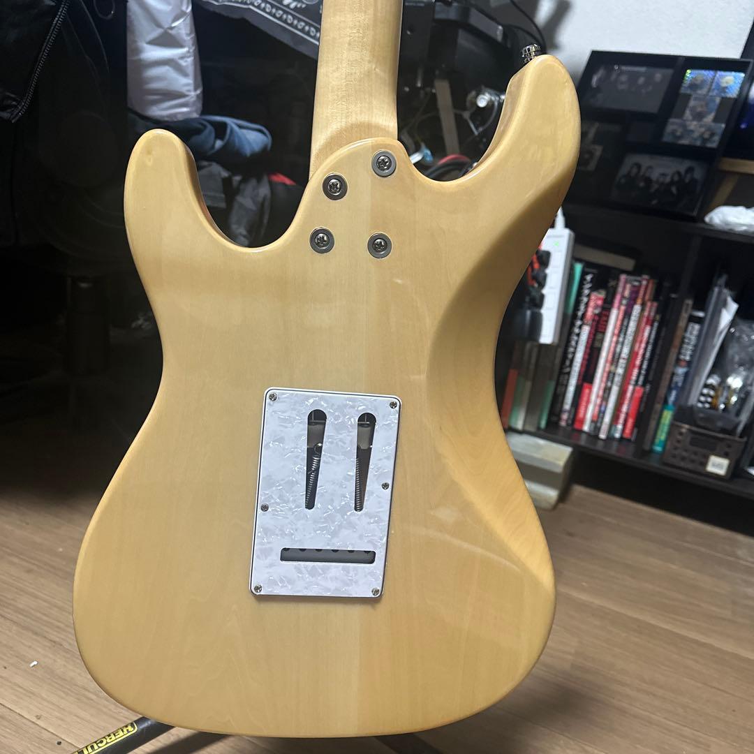 ギター ARIA Pro IIEvergreen 714-AE200