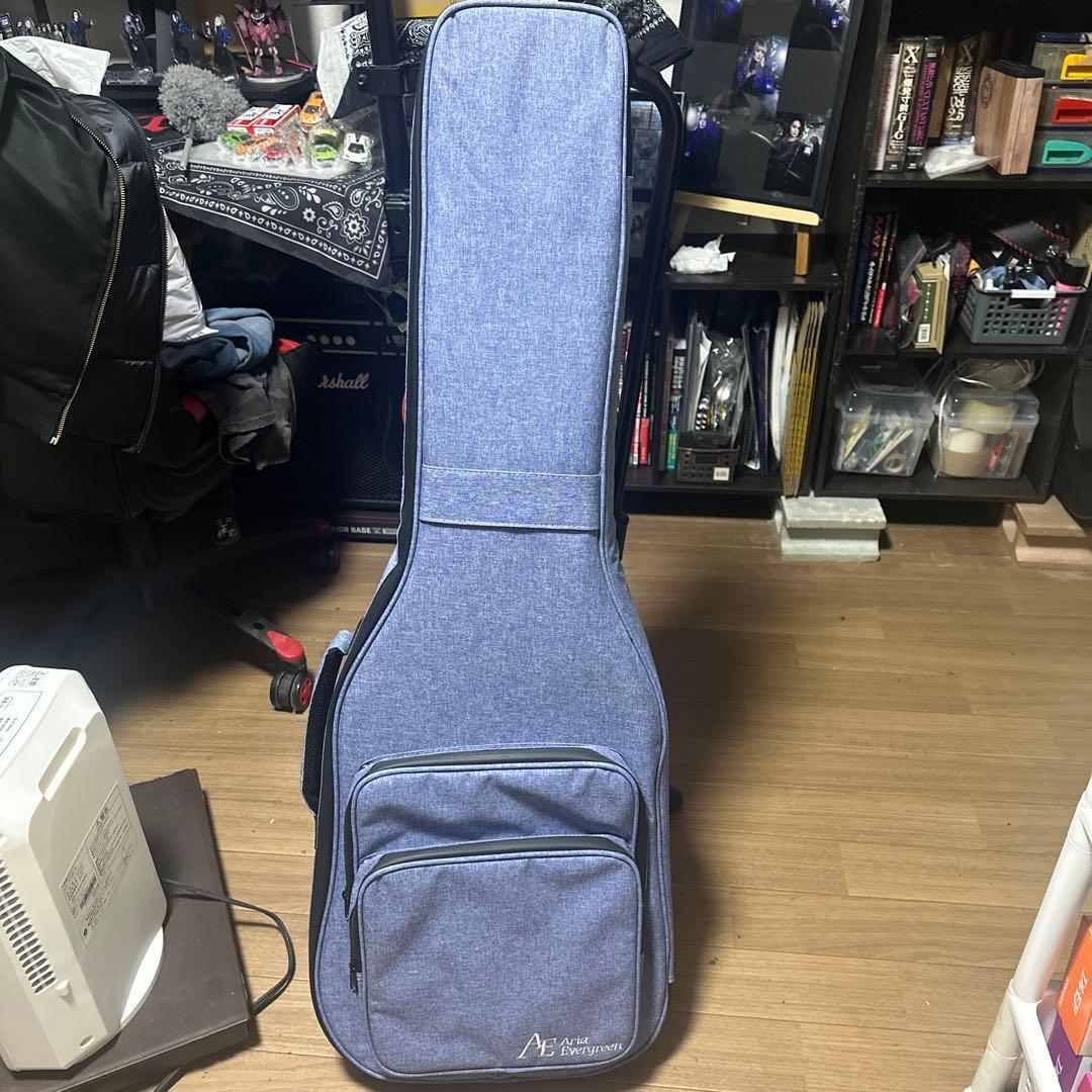 ギター ARIA Pro IIEvergreen 714-AE200