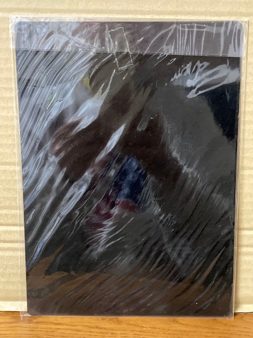 新品 80年代 ビンテージ 高中正義 下敷き レトロ 昭和 当時物