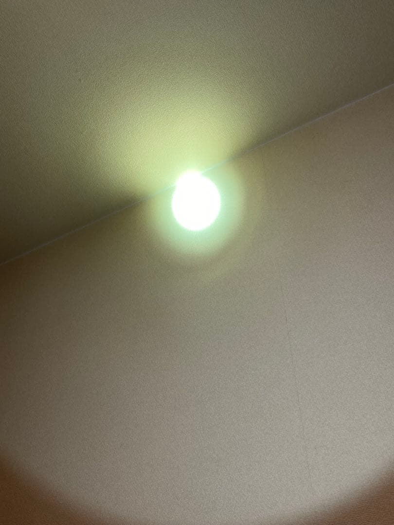 【実物】OLIGHT オーライト Javelot Tac P タクティカルライト