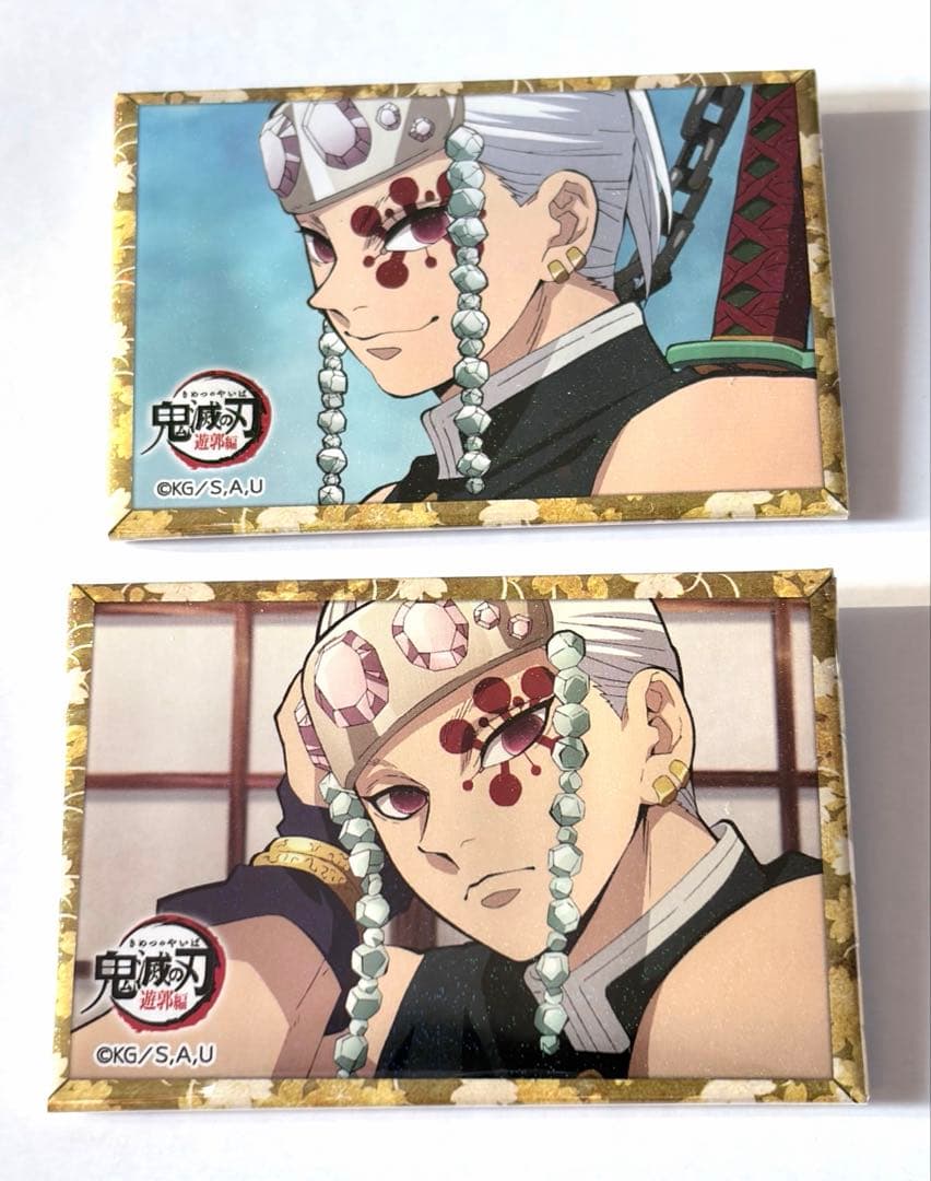 鬼滅の刃　混ざりし悪の存意セット＋缶バッジ2点おまけ