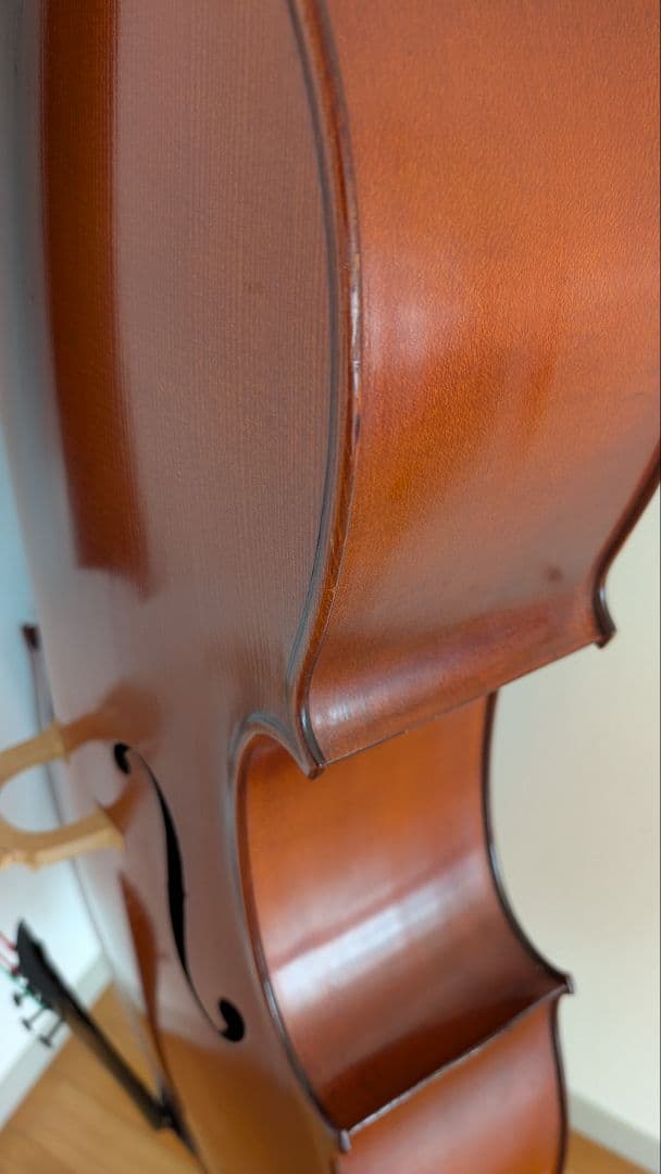 チェロ【GLIGA】 ギグケース付き 直接お渡し