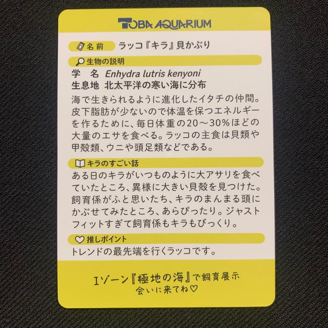 鳥羽水族館 TOBA AQUARIUMコレクションカード ラッコ キラ