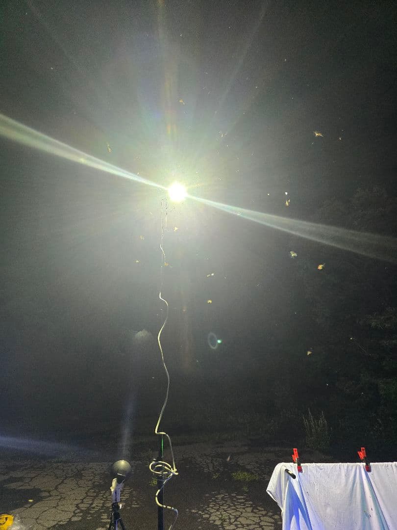 ライトトラップシステム 水銀灯 安定器セット スタンド付き