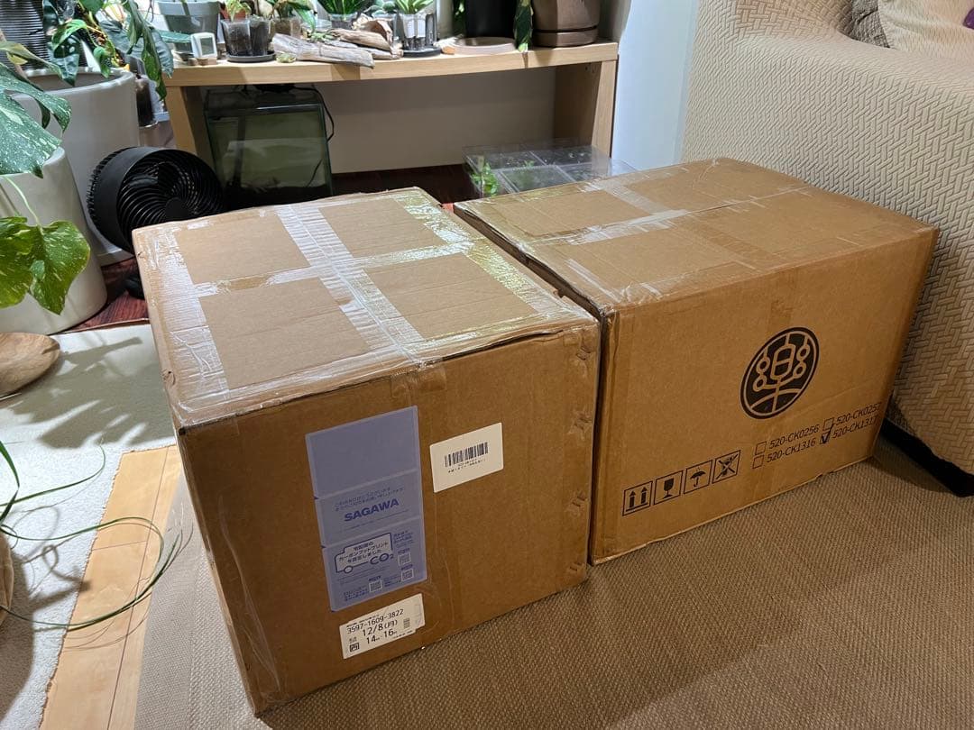 RAKU キャットタワー 突っ張り 木製 極太