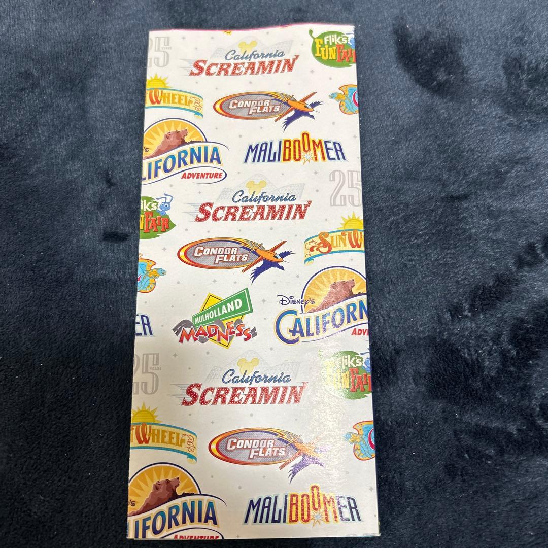 【限定パンフレット付き】カリフォルニアたディズニー　ポップコーンバケット