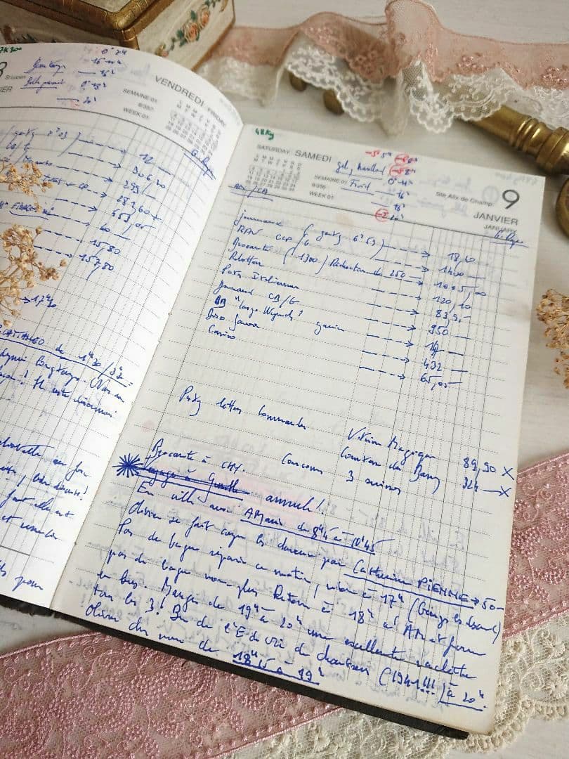 【だいず さま専用】461＋458＋459、３冊おまとめフランス Agenda