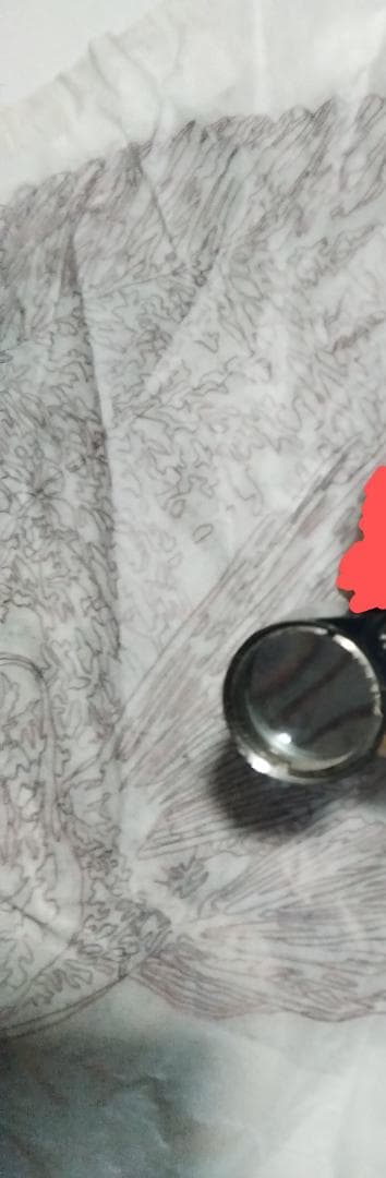 ヒロヤマガタ　巨匠真作魚直筆ドローイング鉛筆木炭画5号額無し保証書あり