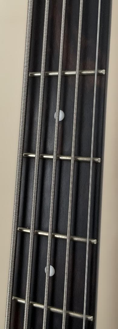 【美品・送料込】Spector 5弦ベース
