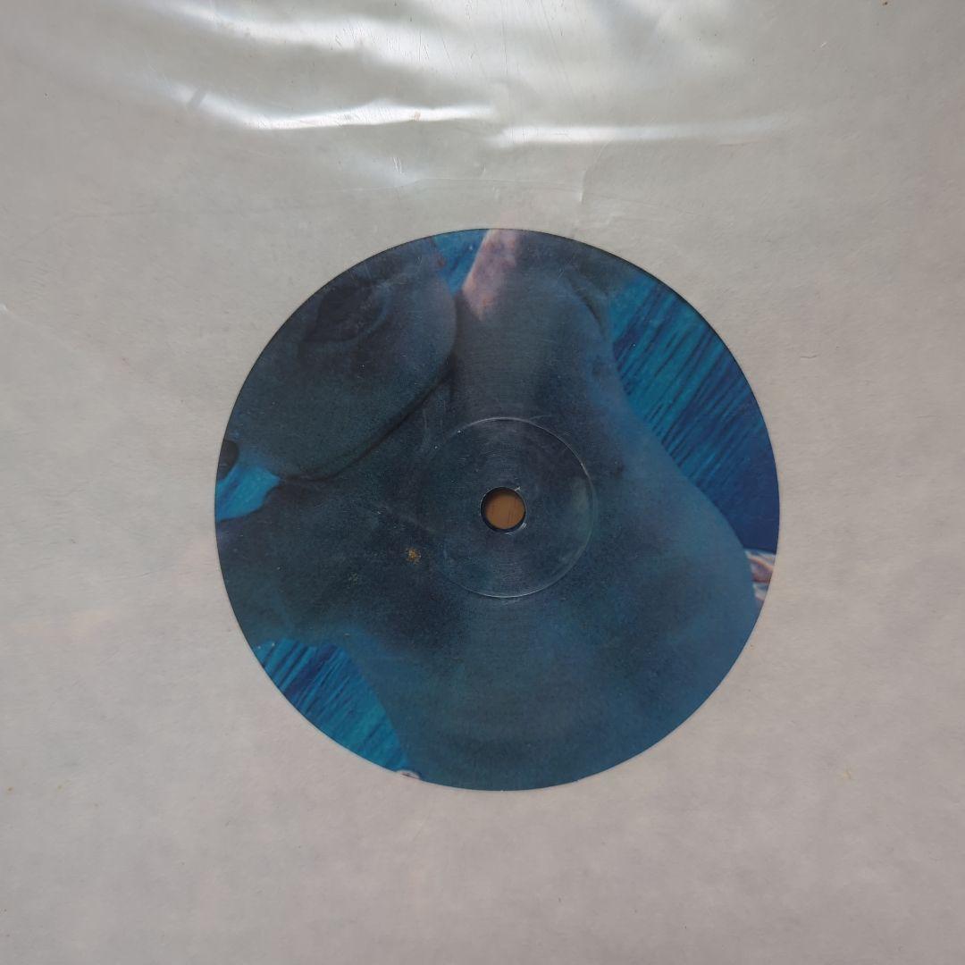 NIRVANA/NEVERMIND/ピクチャー盤レコード