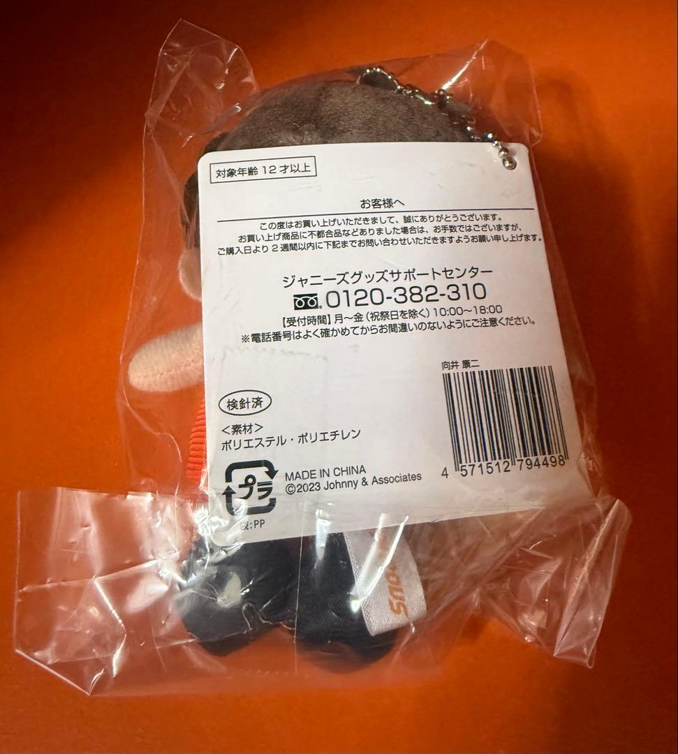 man 向井康二 すのチル ぬいぐるみ ソフビ アクリルキーホルダー