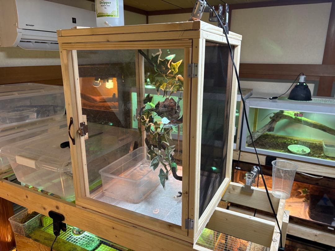 爬虫類ケージ　60×40×40 メッシュ　アクリル扉　カメレオン　ケージ　ペット