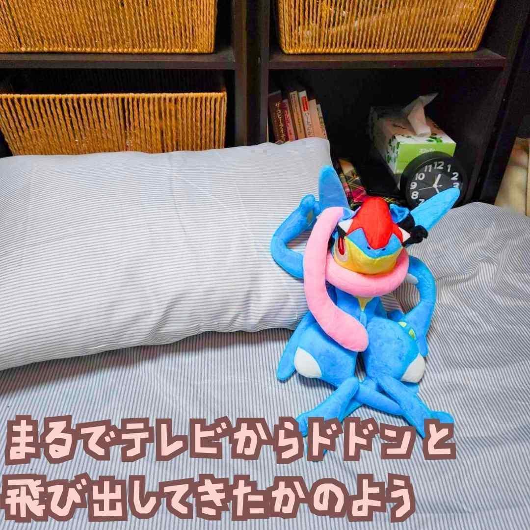 サトシゲッコウガ　ぬいぐるみ　ゲッコウガ　大きい　国内35cm　【残3