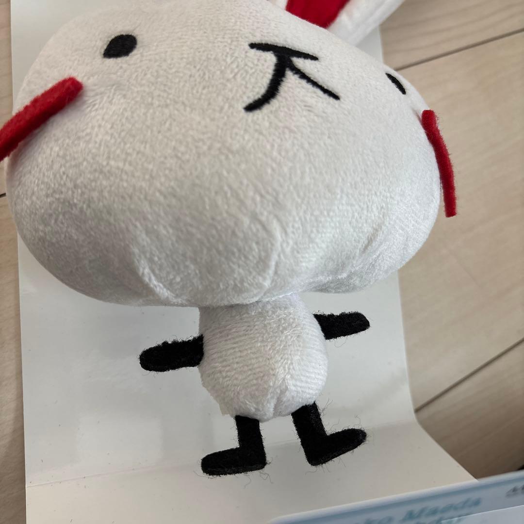 前田敦子 ファンクラブ AM&YOU ネギちゃんぬいぐるみ