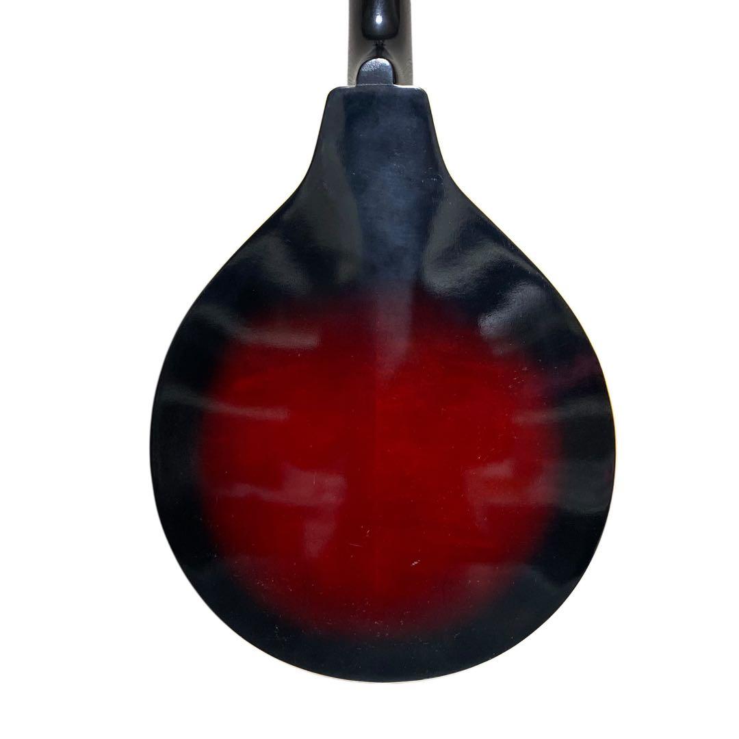 【希少品】IBANEZ エレキマンドリン　ハードケース付　マンドリン