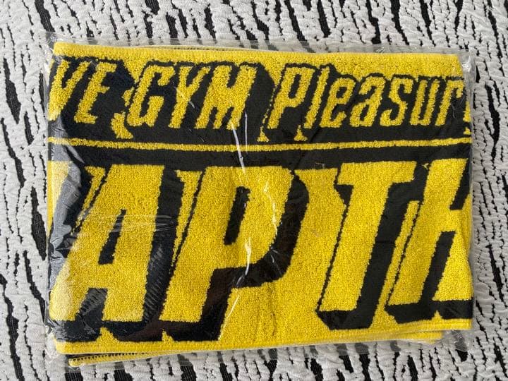 【】 B'z LIVE GYM Pleasure ′ 93 ツアータオル