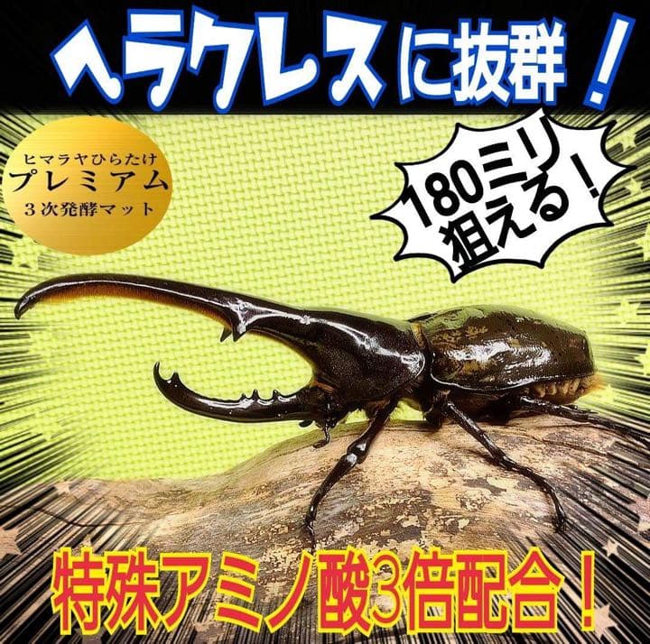 大人気！雑虫がわかない！完全室内製造！極上！プレミアム発酵カブトムシマット　6袋