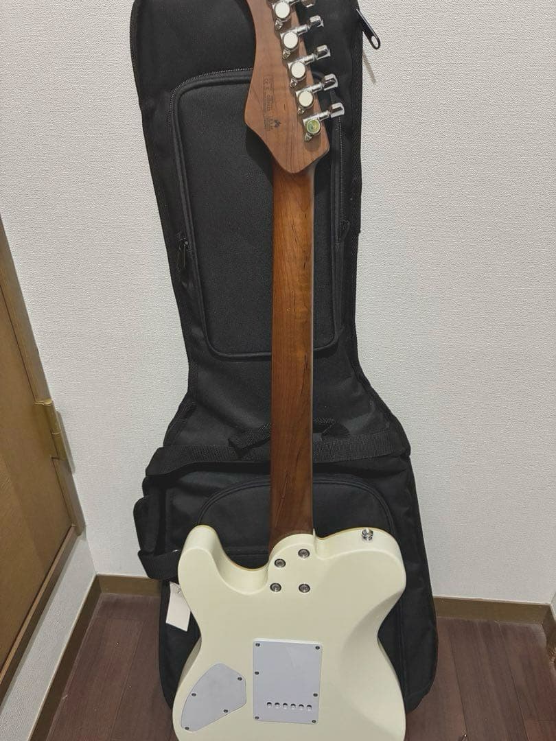 Bacchus TACTICS24-STD/RSM テレキャスター