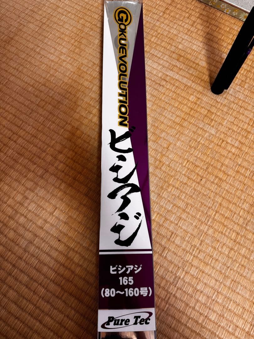 GOKUEVLUTION ビシアジ165 美品