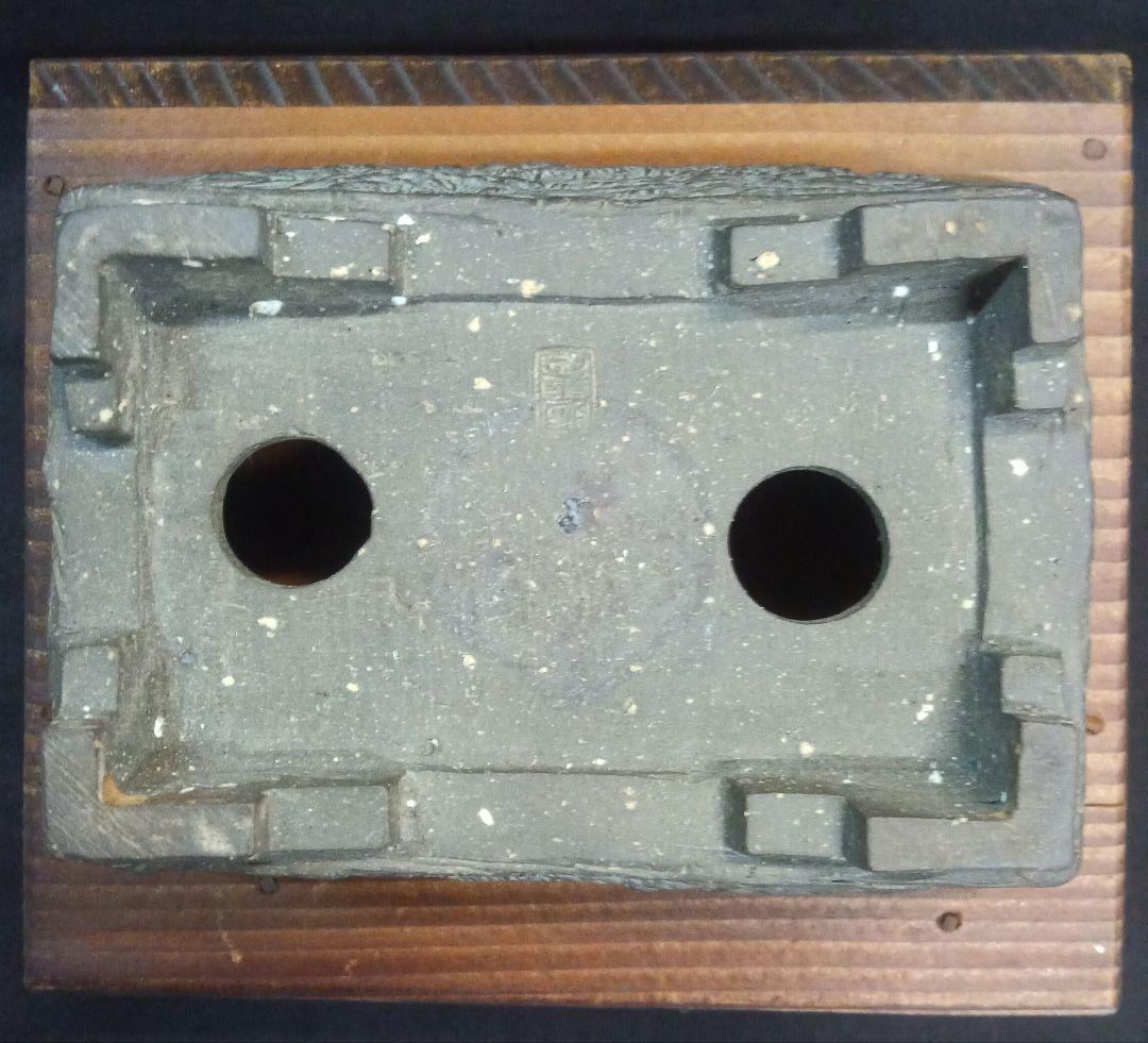 009.【陶翠】春秋/長方樹盆/盆栽鉢/木箱付き