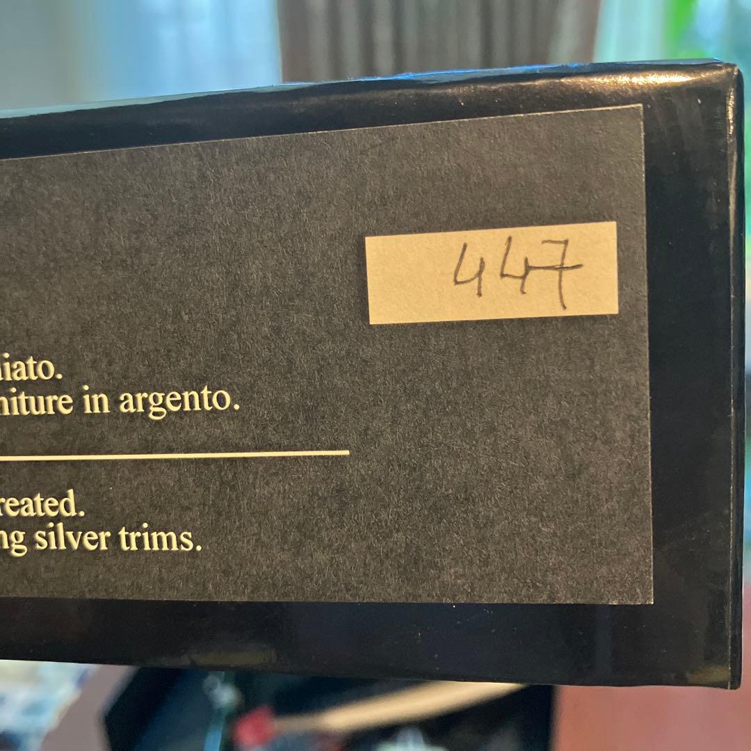 アウロラ　万年筆　ジュングラ　アンビエンテ　EF