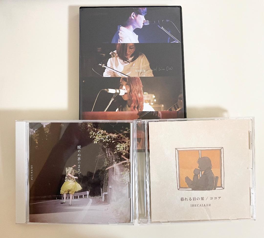 【廃盤、サイン入り】アイビーカラー　CD DVD 14点