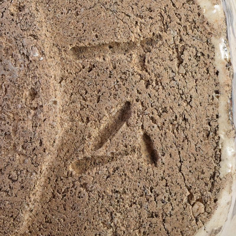 加藤唐九郎（一ム斎）作　古志戸窯　志野茶碗　銘白妙　清水公照極め箱　MR9413