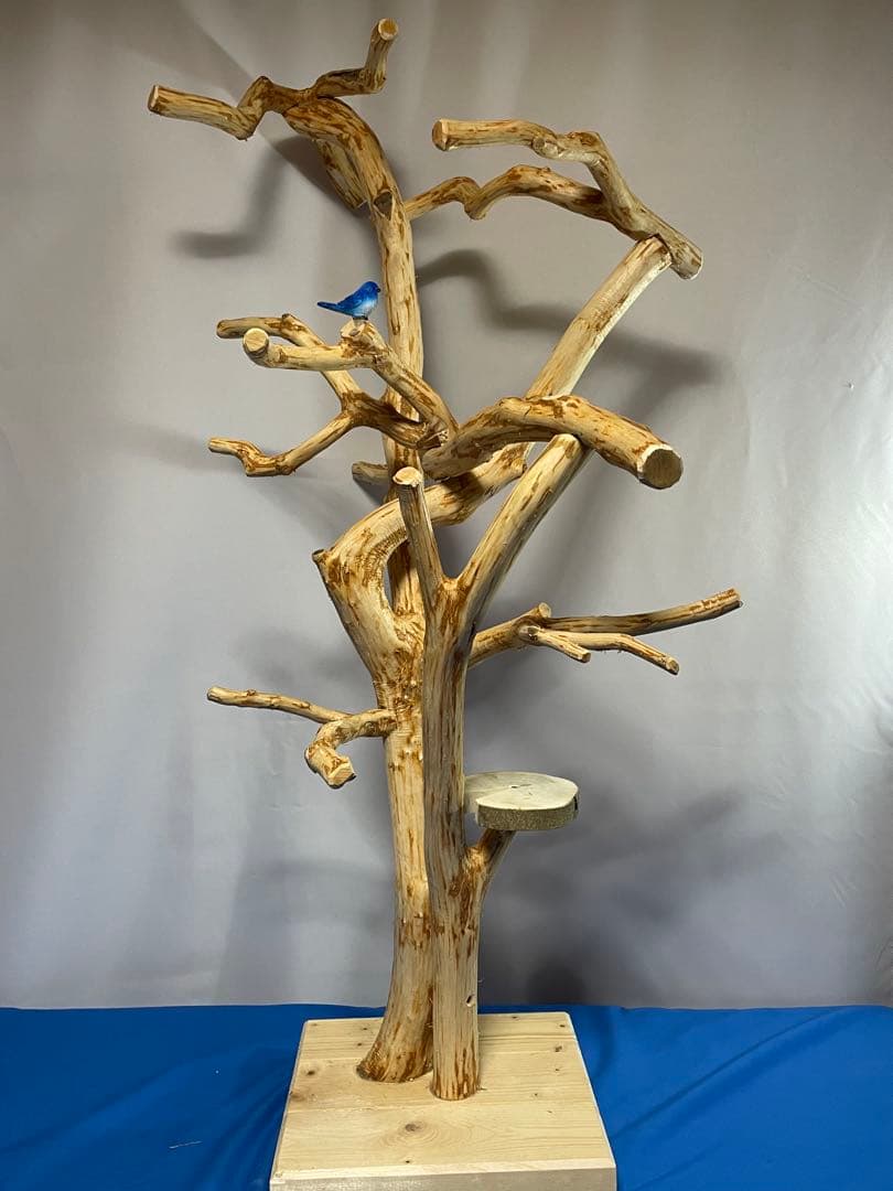 天然木白木バードジム