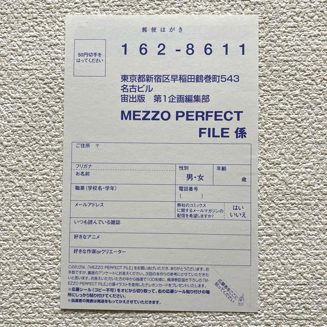 MEZZO メゾ　パーフェクトファイル
